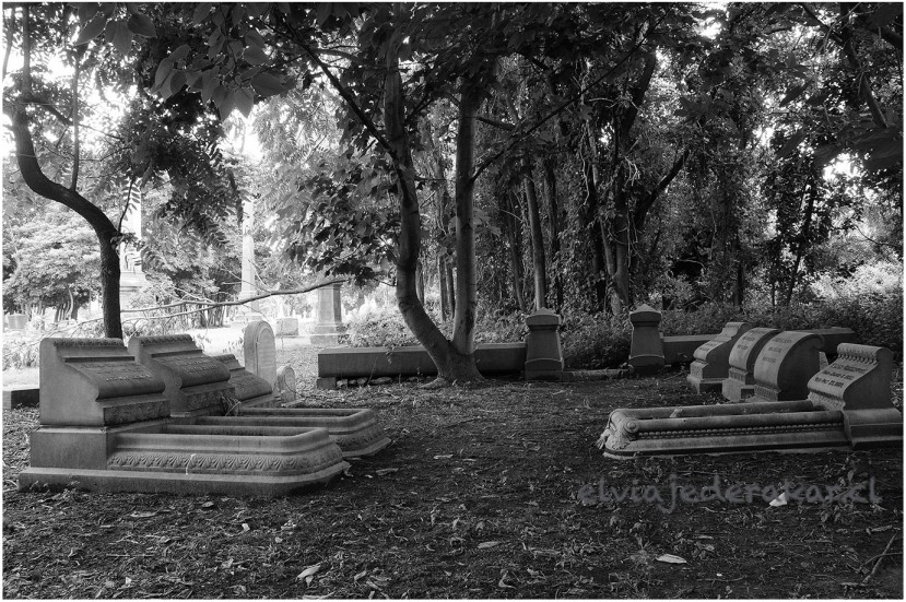 Cementerio abandonado de Mount Moriah (Foto Rakar).